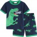 Little Hand Toddler Boys Pajamas Dinosaur 100% Cotton Shortsleeve size 2t-7t