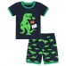 Little Hand Toddler Boys Pajamas Dinosaur Cotton Pjs Pajama Sets