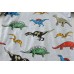 Little Hand Boys 100% Cotton 2 Piece Long Sleeve Dinosaur Pajamas Set