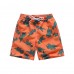 Little Hand Boys Swim Trunks Toddler Swim Shorts for Boy Beach Board Swimwear