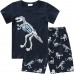 Little Hand Toddler Boy Summer Pjs 100% Cotton Dinosaur Short set 2t-7t