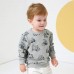 Little Hand Toddler Boy Sweatshirt 100% Cotton Boys Pullover Dinosaur Crewneck Sweatshirt